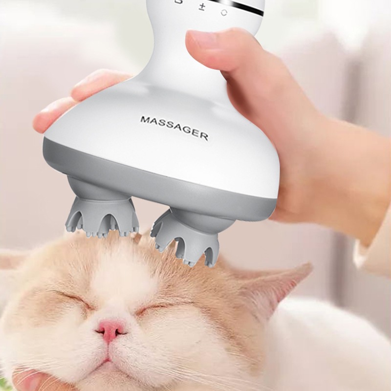 Kabelloser Wasserdichter Elekt – Scalp Massager Electric Bewertung und Preis