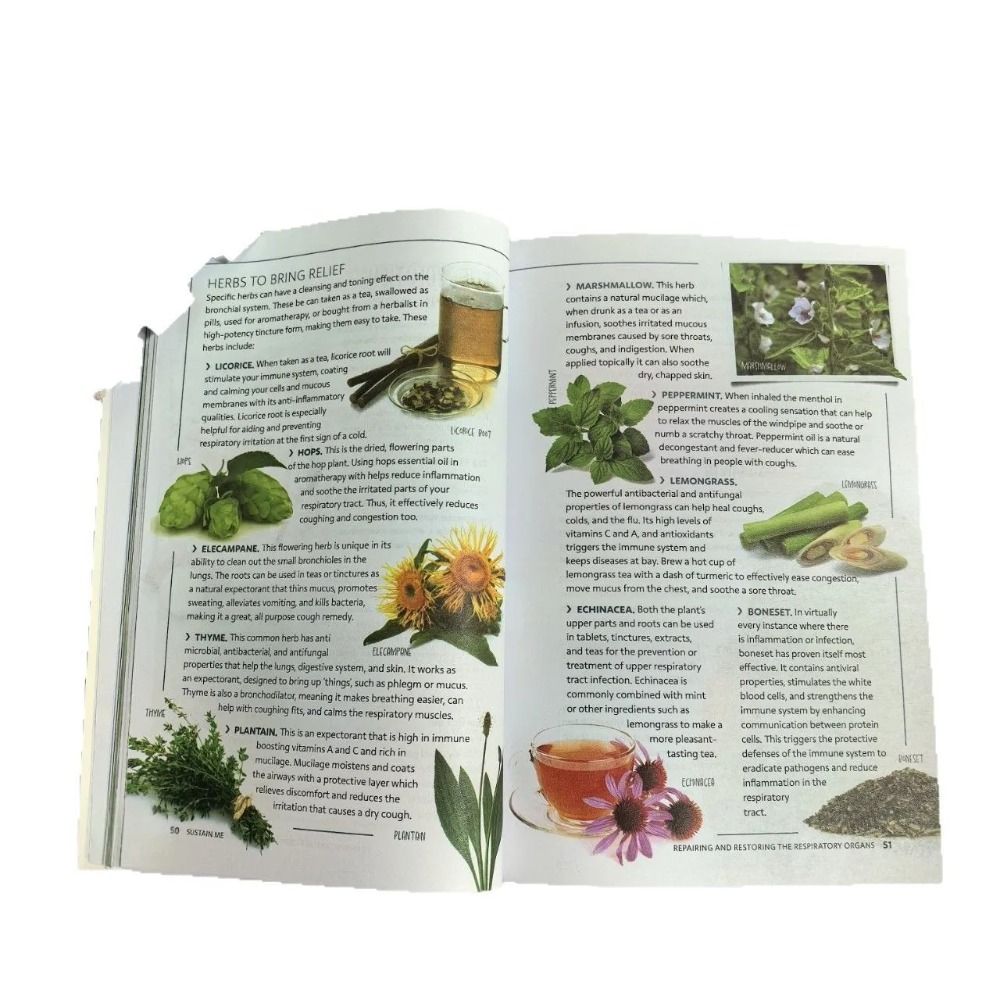 Sustain Me Englische Taschenbu – Health Wellness Foundation Bewertung und Preis